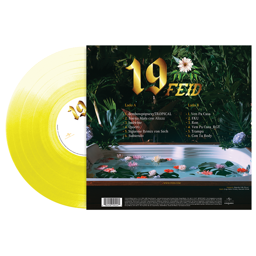 19 Vinyl Back