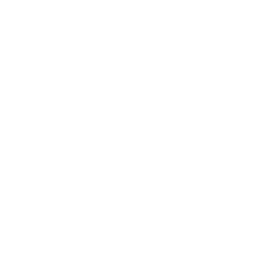 Feid Official Store