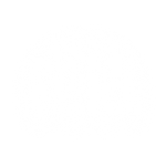FEID Official Store mobile logo